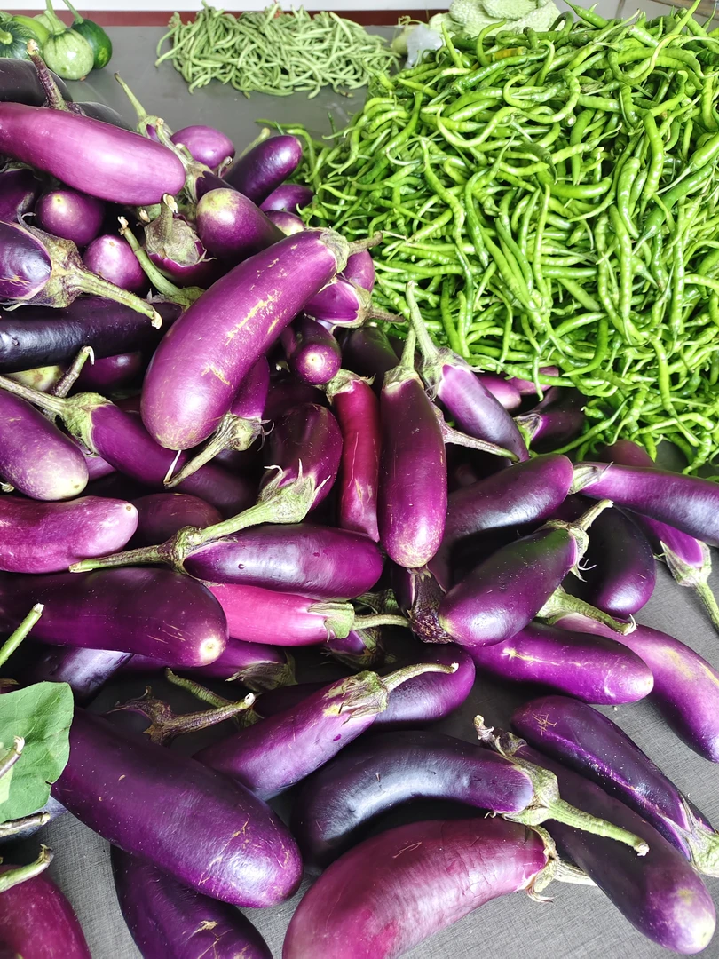茄子湖南蔬菜本地紫色新鲜现摘黑紫皮农家菜自种时令