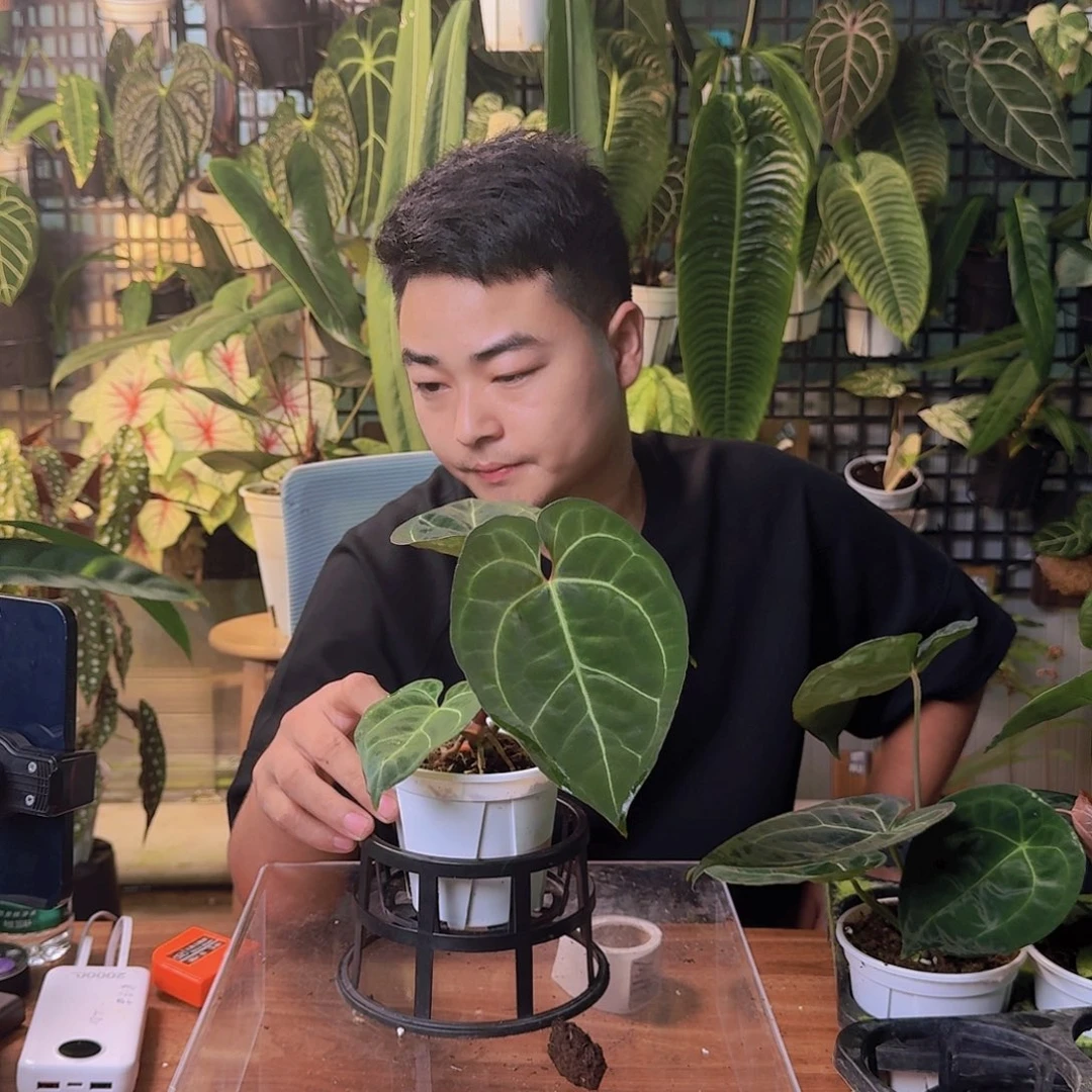 C****完全开放一物一拍M116