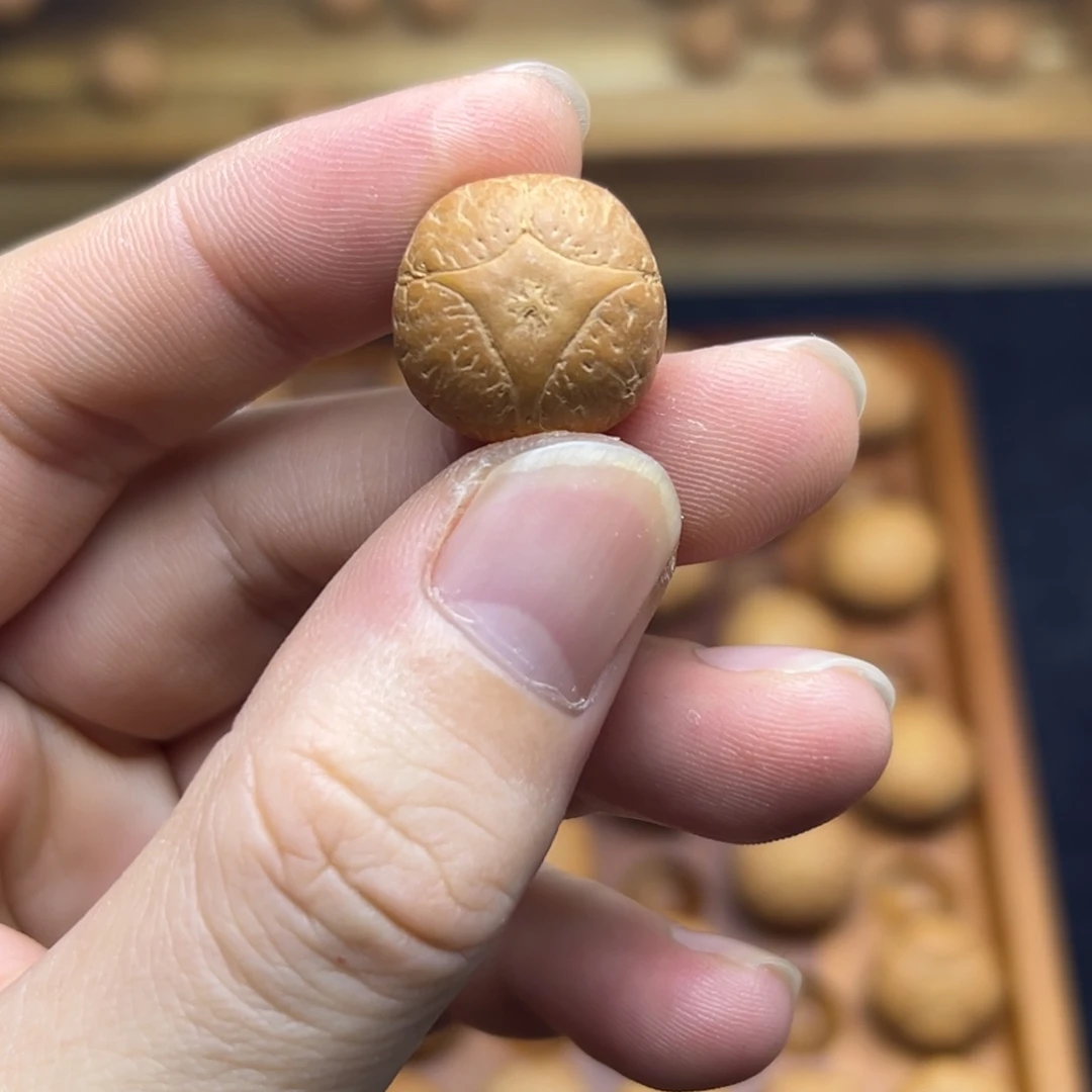 凤眼菩提手串18麒麟眼
