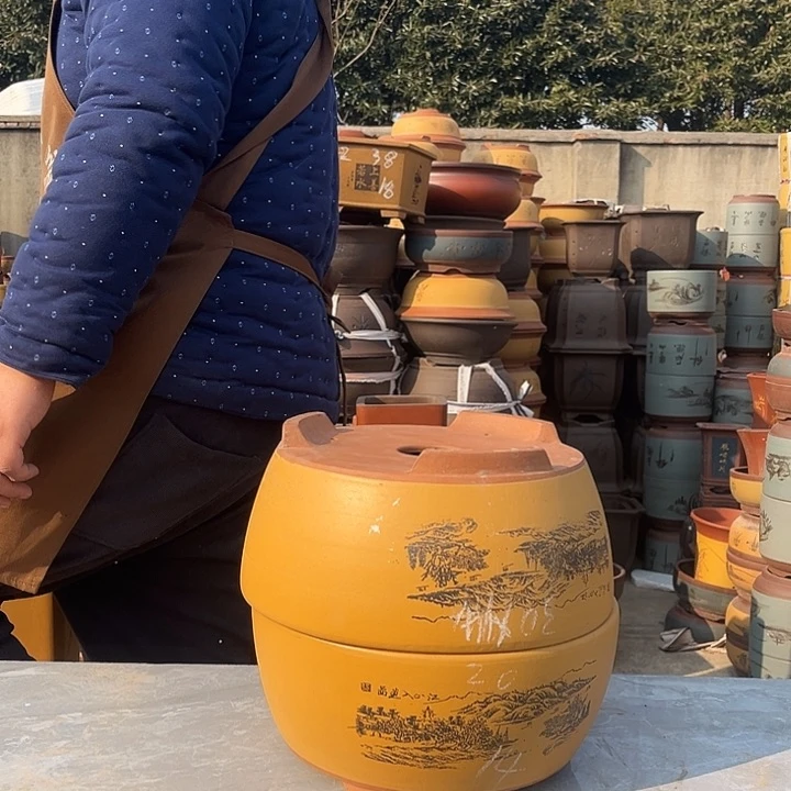 紫砂紫砂花盆盆栽