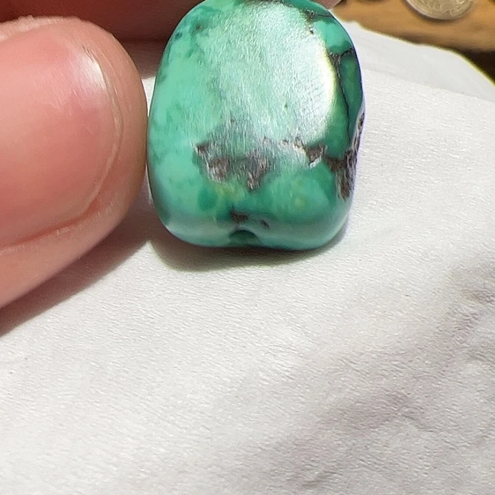 香榧木你是不是也