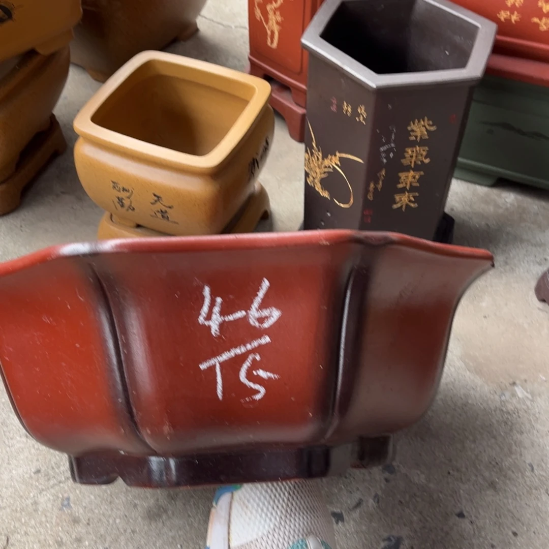 花盆紫砂盆景艺术