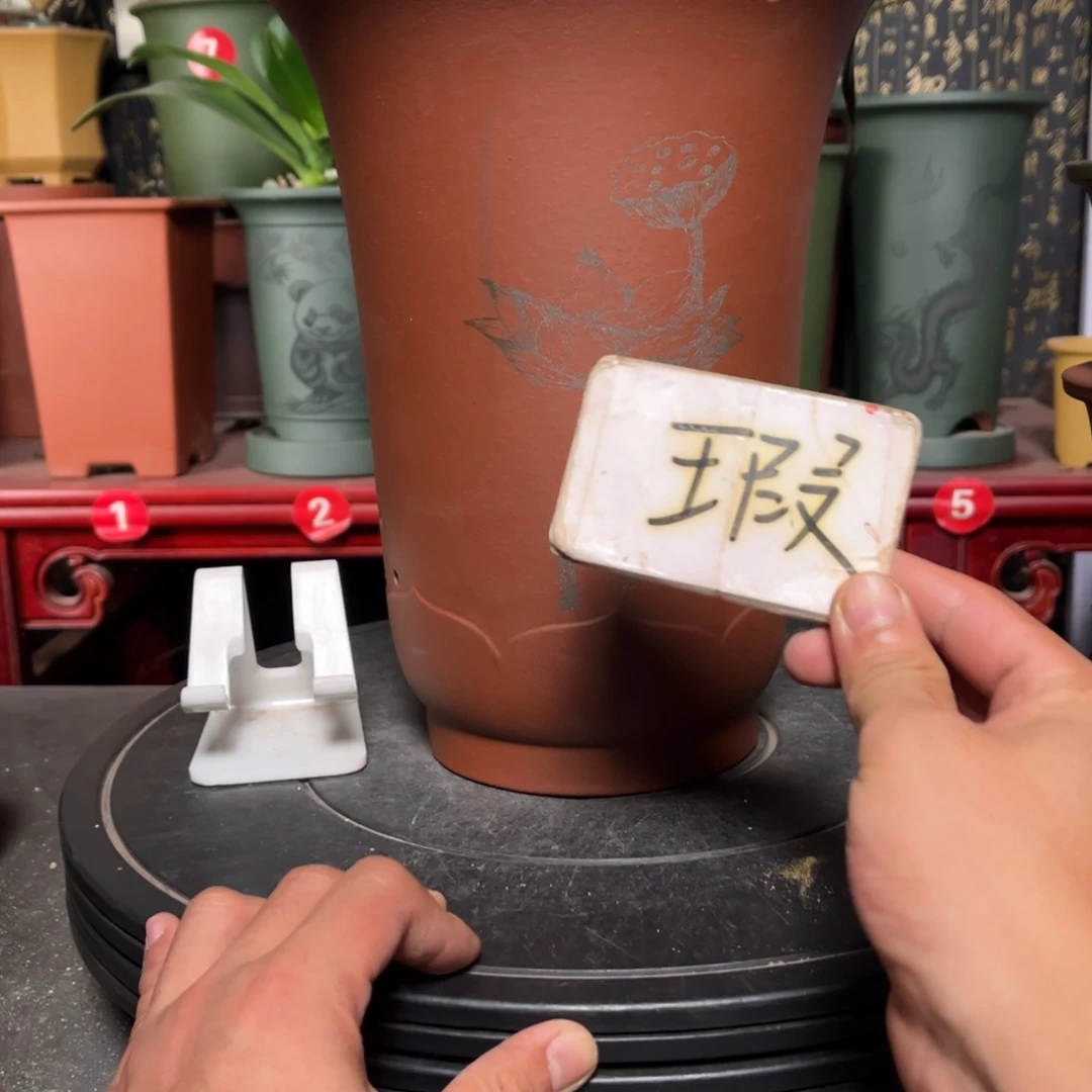 紫砂花盆紫砂花盆