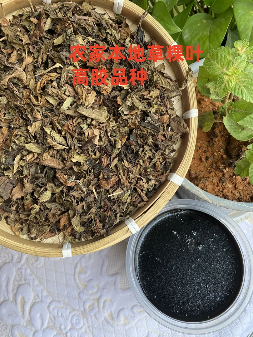【潮汕草粿叶】草粿制作材料草粿草0添加清热解暑老式工艺儿时味道