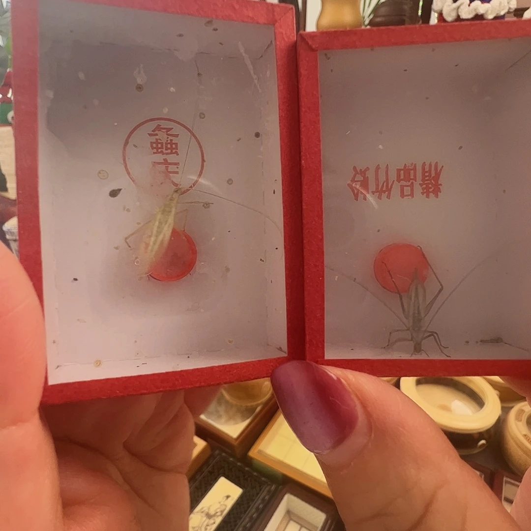 哈哈哈柬埔寨➕紫竹