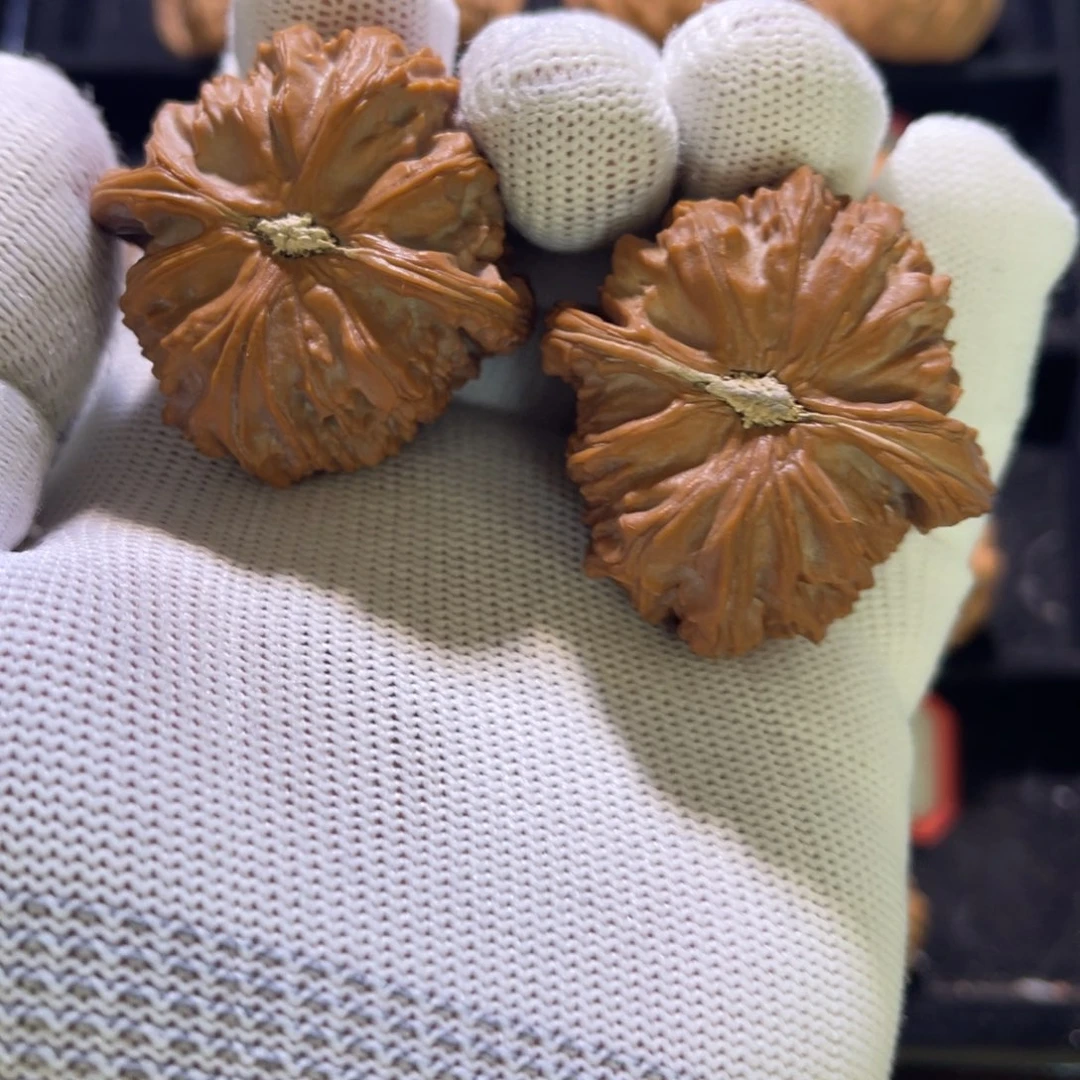 橙*汁秦皇岛山地果全品02