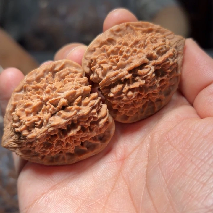 文玩核桃吊坠满天星7149