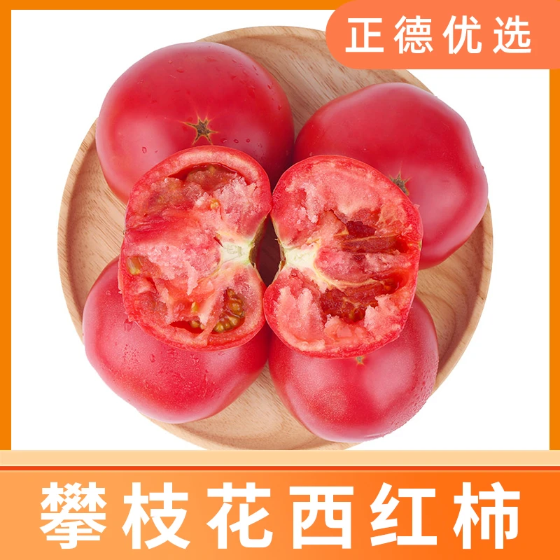 【攀枝花西红柿】四川水果新鲜采摘西红柿番茄5斤 X