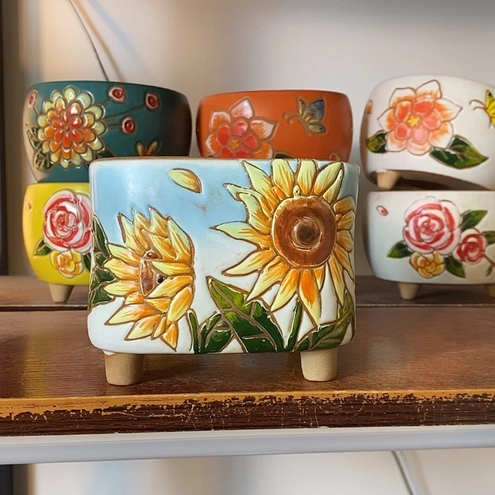 韩式多肉植物花盆