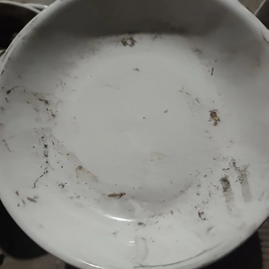 瓷发两个口径22汤盘