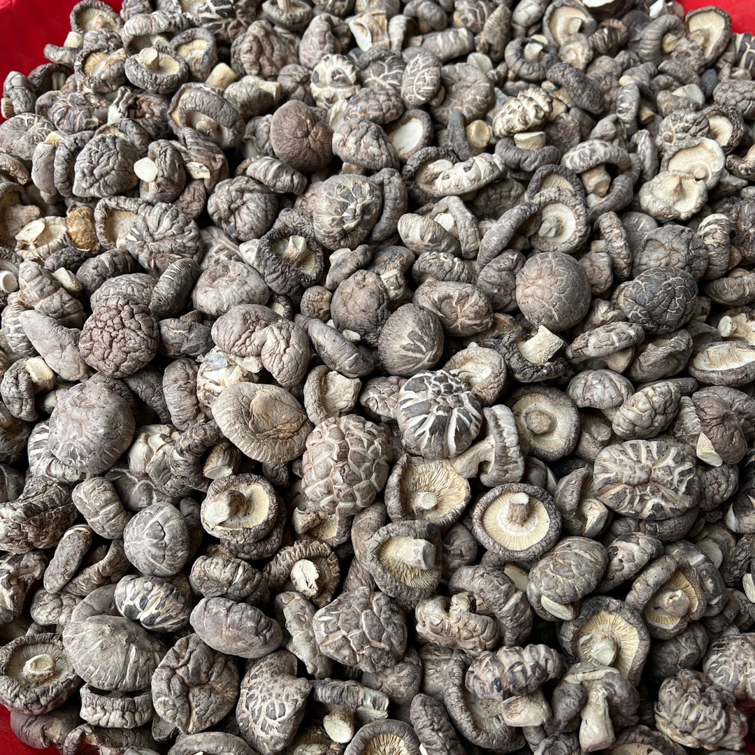 【小瞿助农】城口大巴山花菇