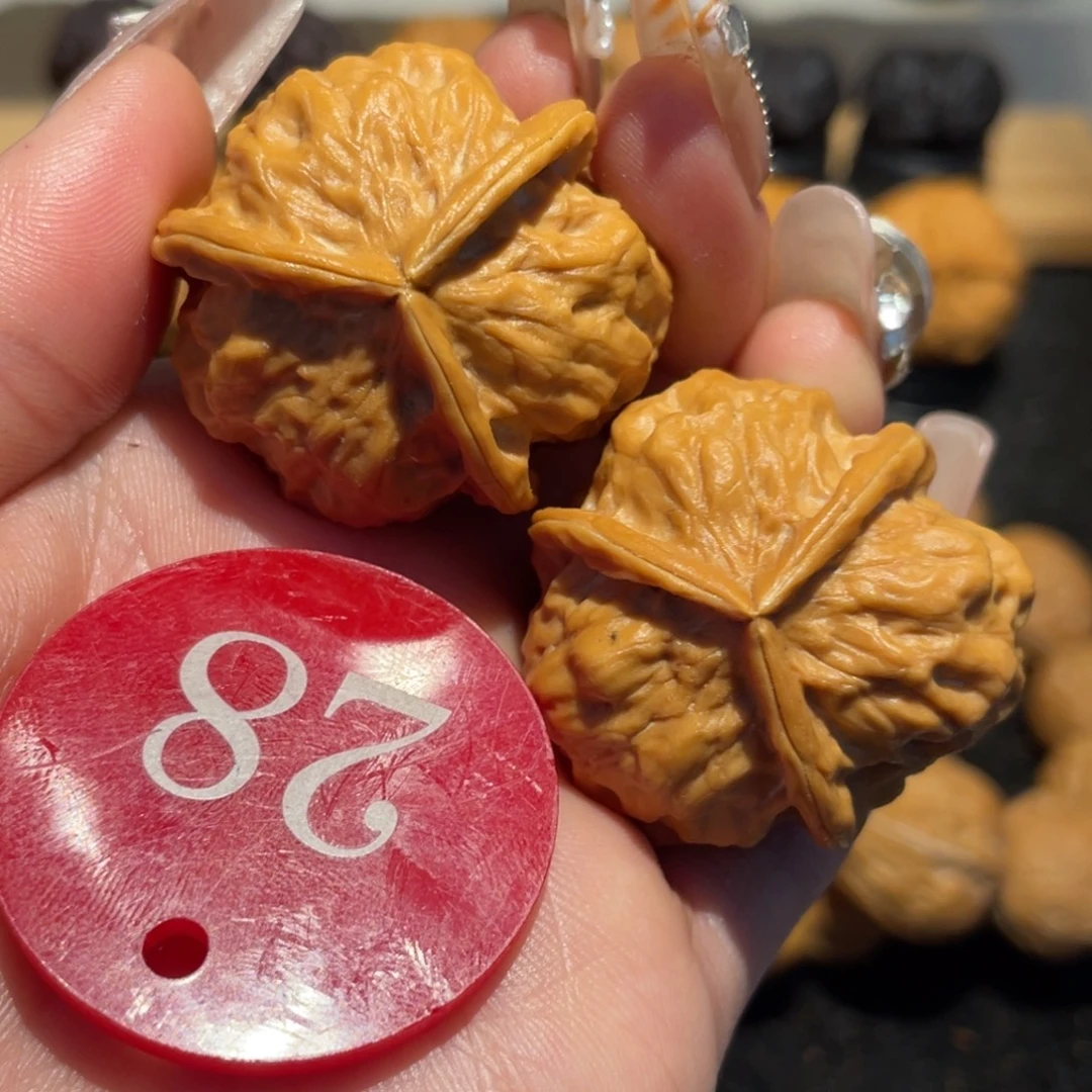 极品龙骨三棱35。