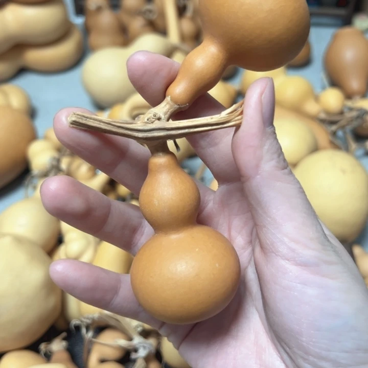 江***）葫芦葫芦葫芦葫芦