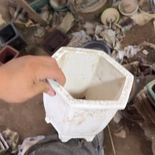 这一期太有意思咯嘛啊太