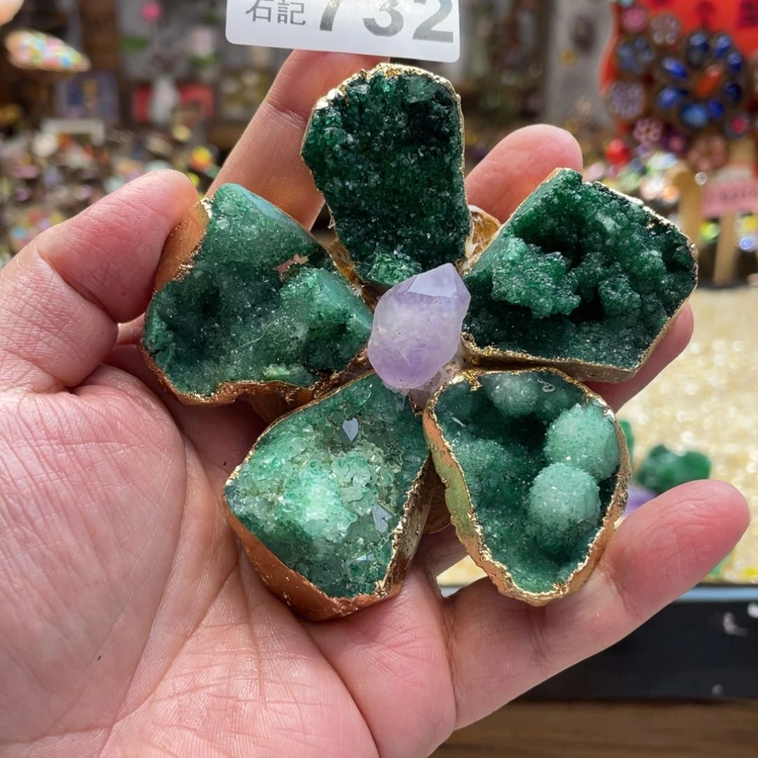 核桃木/黑胡桃（胡桃木）732