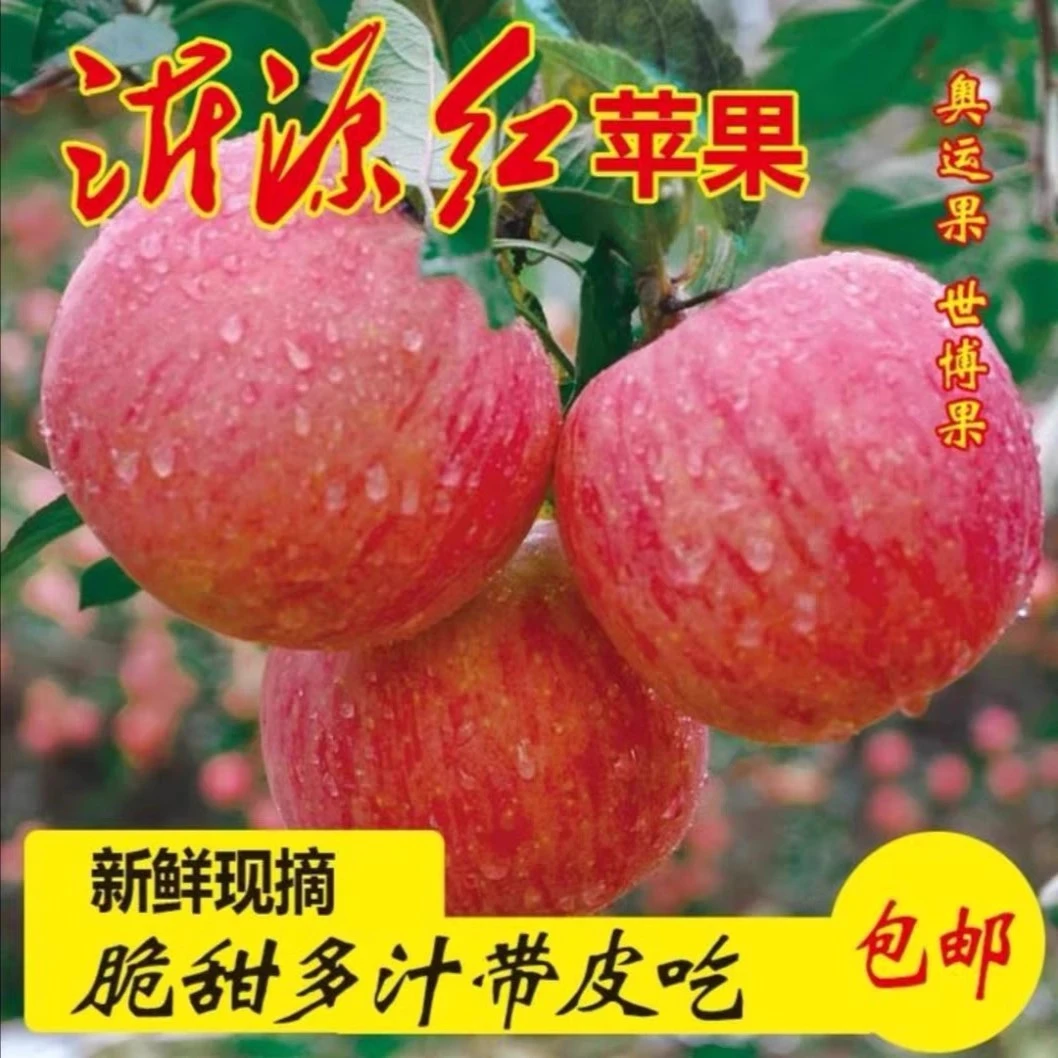 杨大妮家苹果脆甜多汁不打蜡好吃不贵有瑕疵