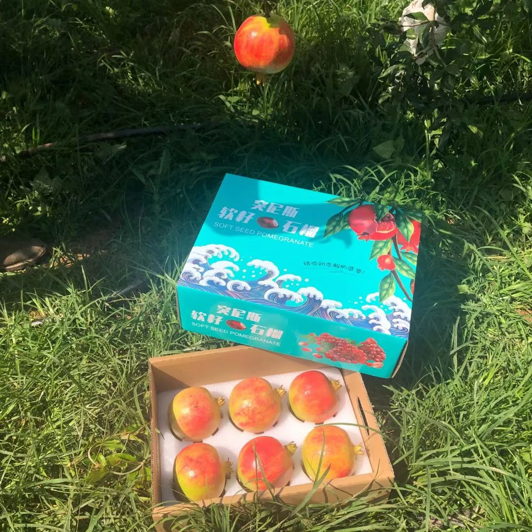 【礼盒四川会理突尼斯软籽石榴】新鲜应季鲜甜多汁无籽饱满孕妇水果