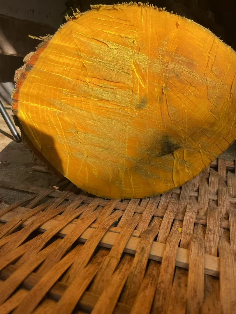 云南深山十大功劳盆栽