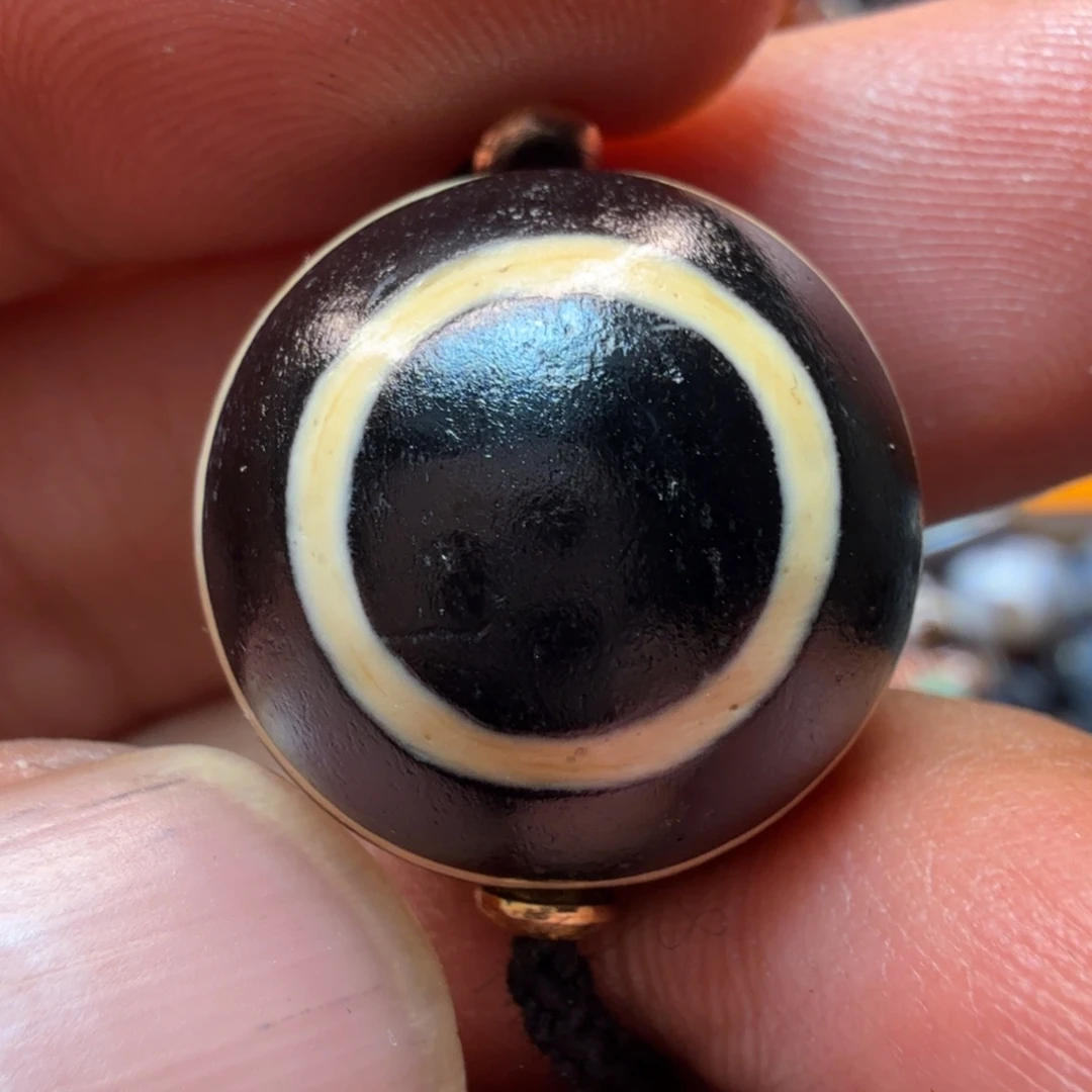 沙***鱼大理石磁石好东西