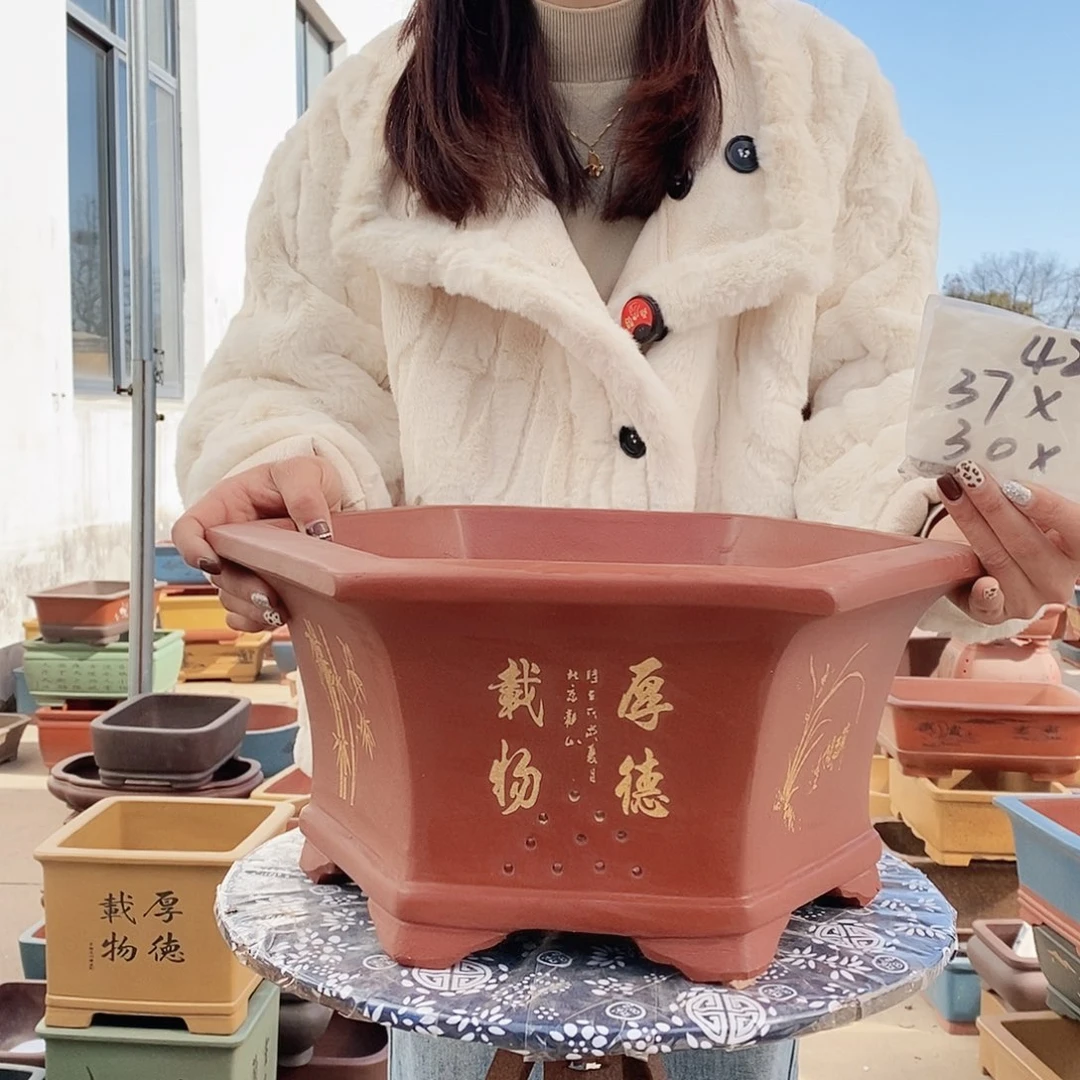 紫砂花盆紫砂花盆