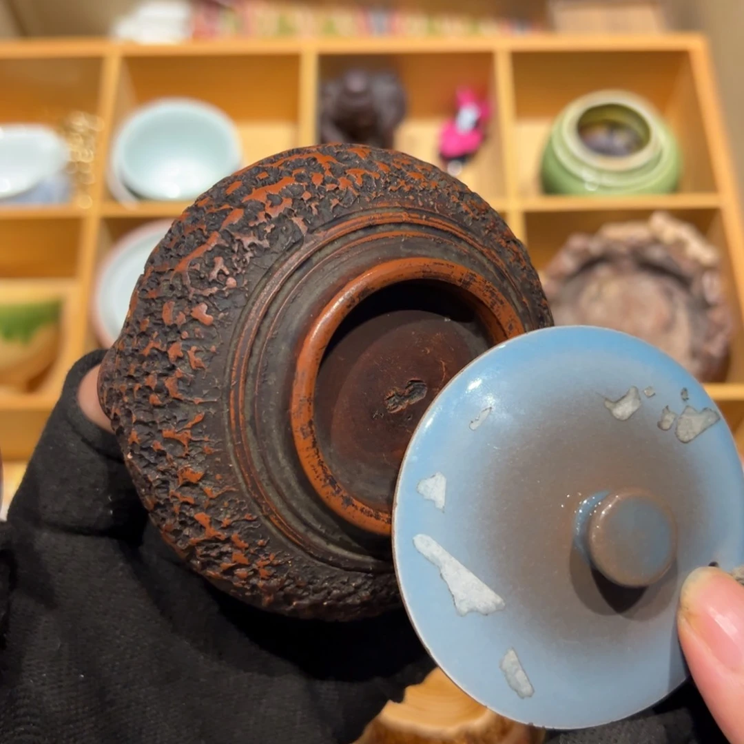 橘***猫瓷片哈哈哈哈哈哈哈哈哈哈