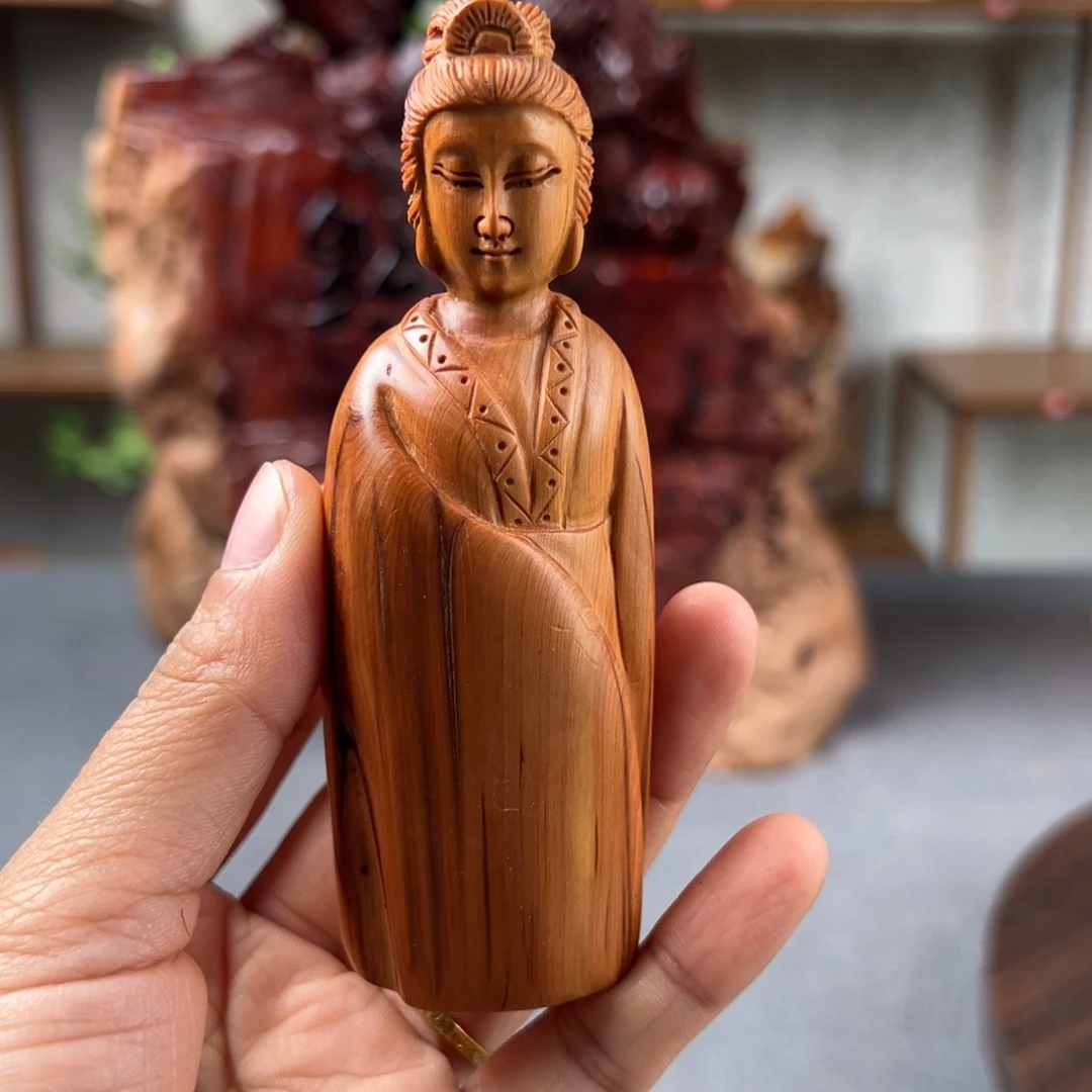 柏木（崖柏）崖柏太行山脉