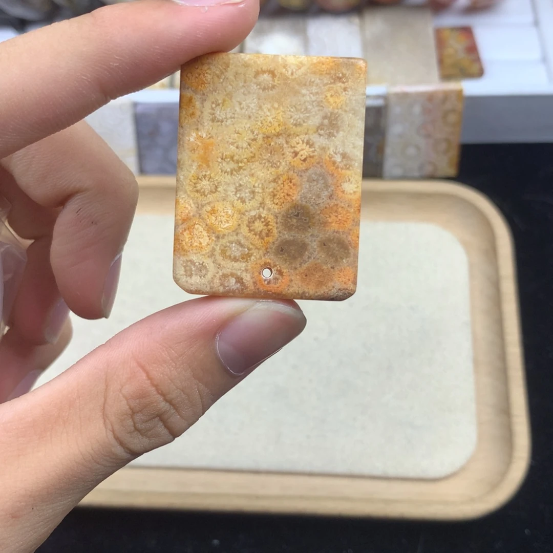 玛***雅硅化珊瑚（珊瑚玉）未镶嵌颈饰