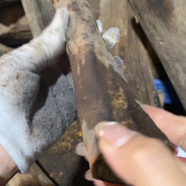 把件贡木一***次定制不退不换