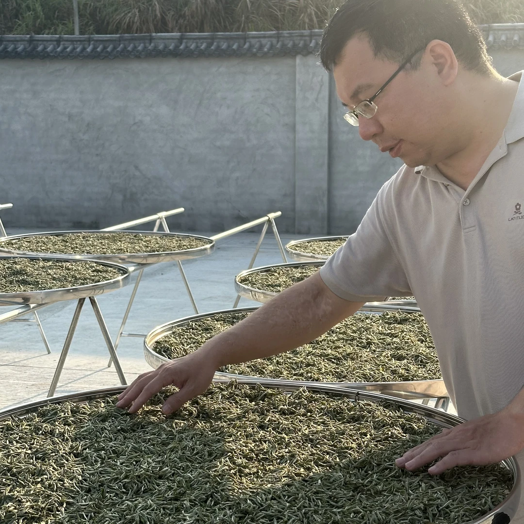 叶芽泉 【双十二】2025碳焙荒野白牡丹