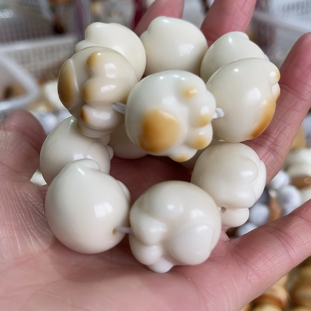 手串菩提根/象牙果牙果猫爪