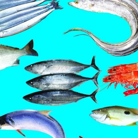 【杂鱼链接】四斤杂鱼 十几个品种随机发