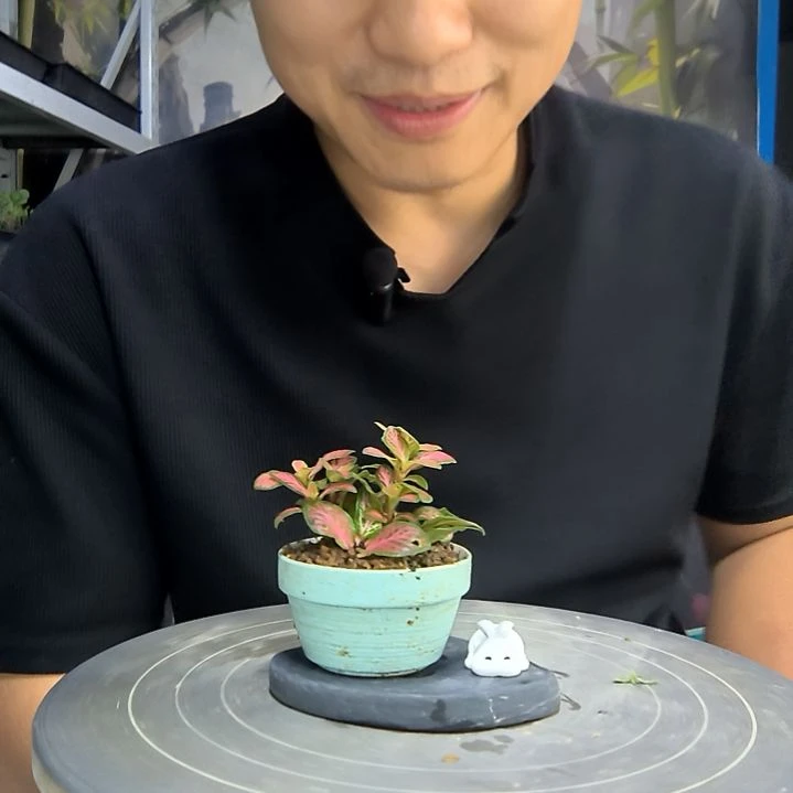 不**士中青园艺一物一拍5