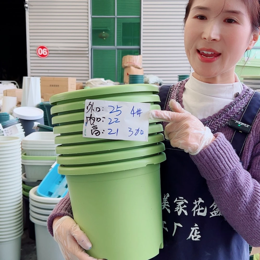 四季盆4#果绿色8个无托