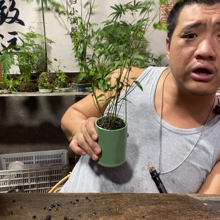 无花朵退款拉黑拉黑47