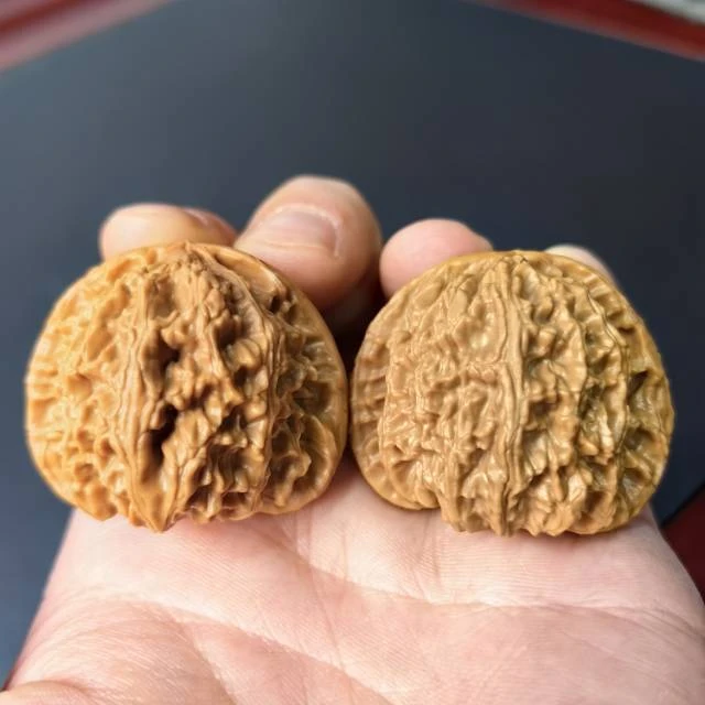 【曹掌柜精选】25 G27341-白狮子核桃-43mm