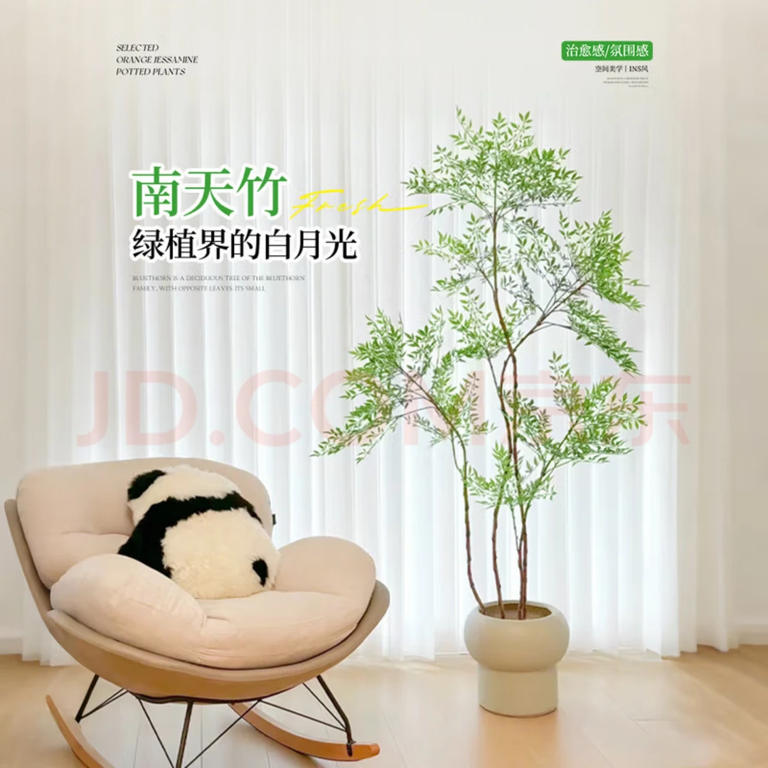 火焰南天竹盆栽好养鲜活净化空气适合客厅办公室摆放的高级感绿植