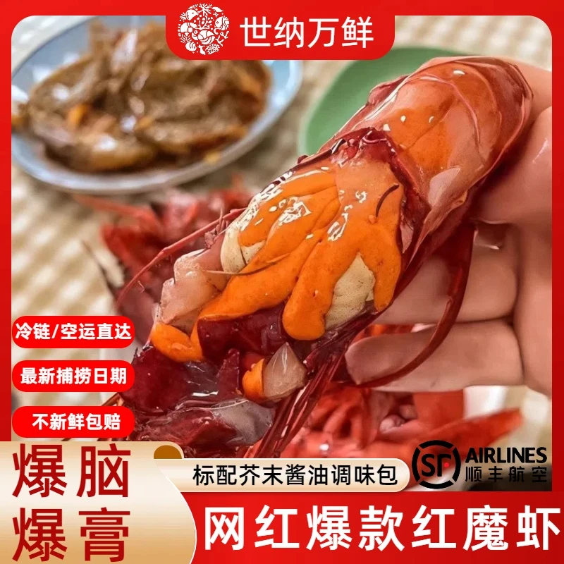 红魔虾鲜活特大速冻刺身生腌刺身海鲜红魔虾非西班牙进口