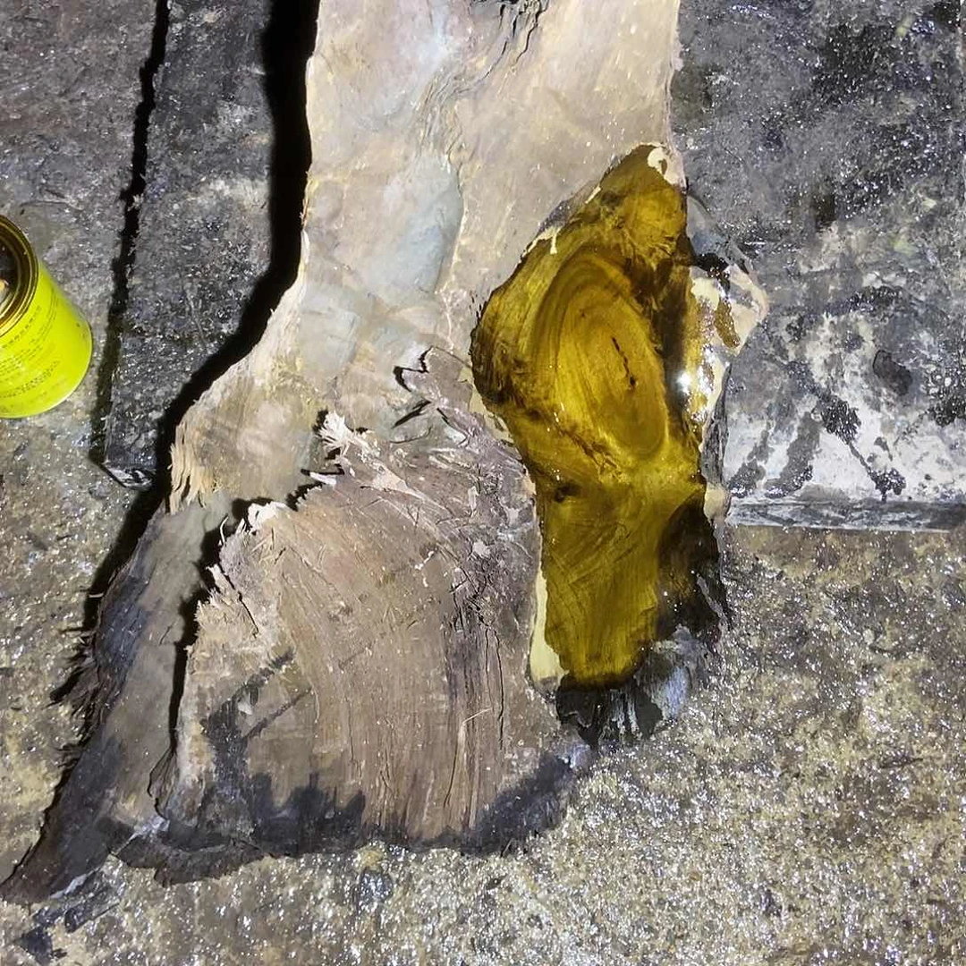 宝**舅金丝楠阴沉木毛料