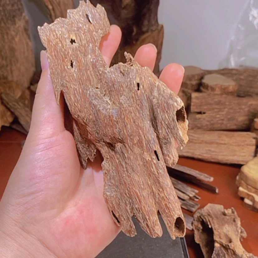 【闪购商品】沉香沉香碎屑海南虫漏29克