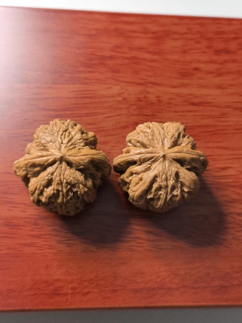 41 核桃一对，一打底！