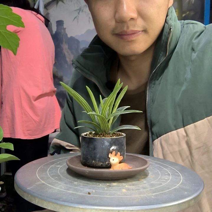 静***6中青园艺一物一拍13
