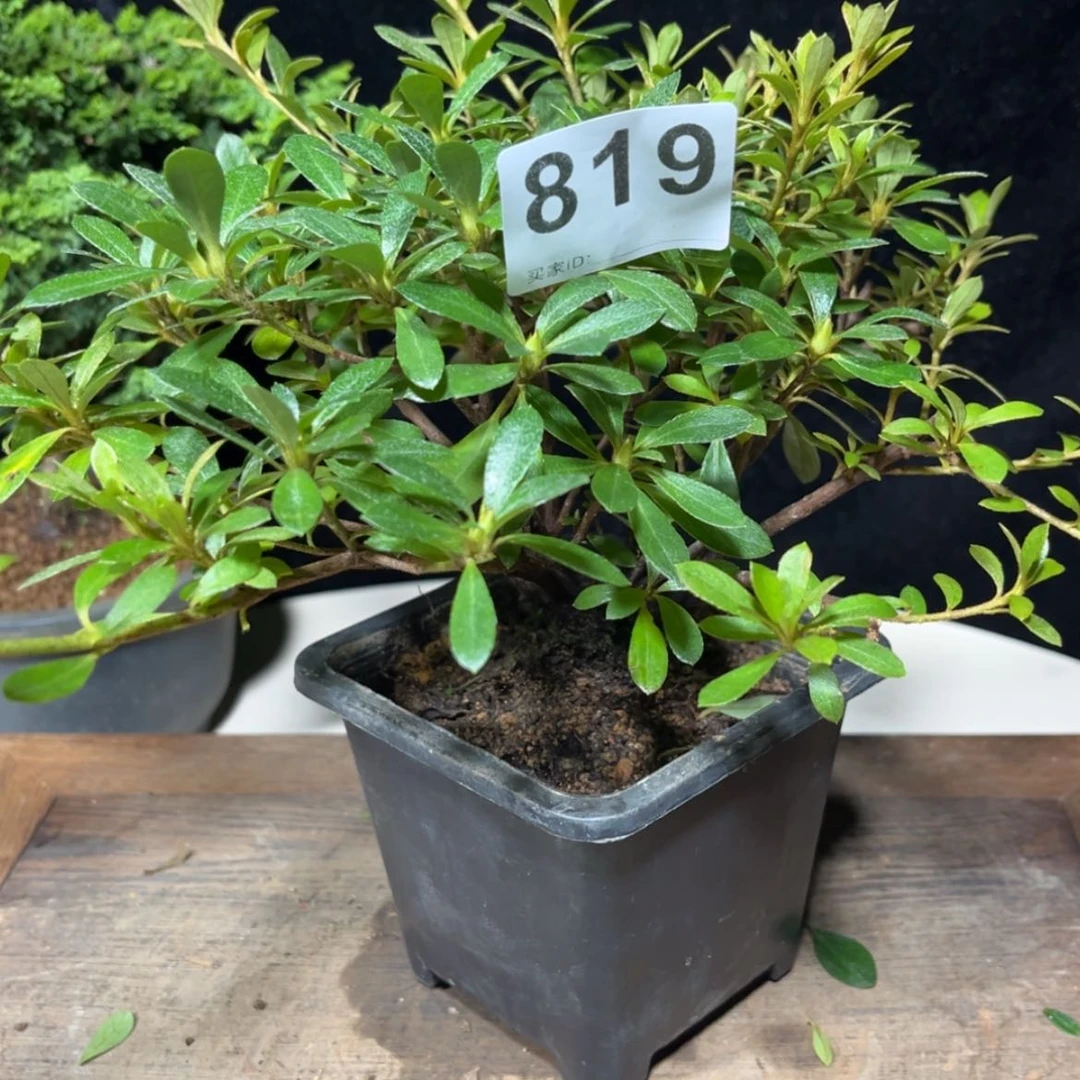 【闪购商品】完全开放用****8