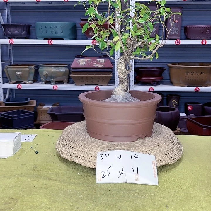 花盆紫砂宜兴紫砂厂