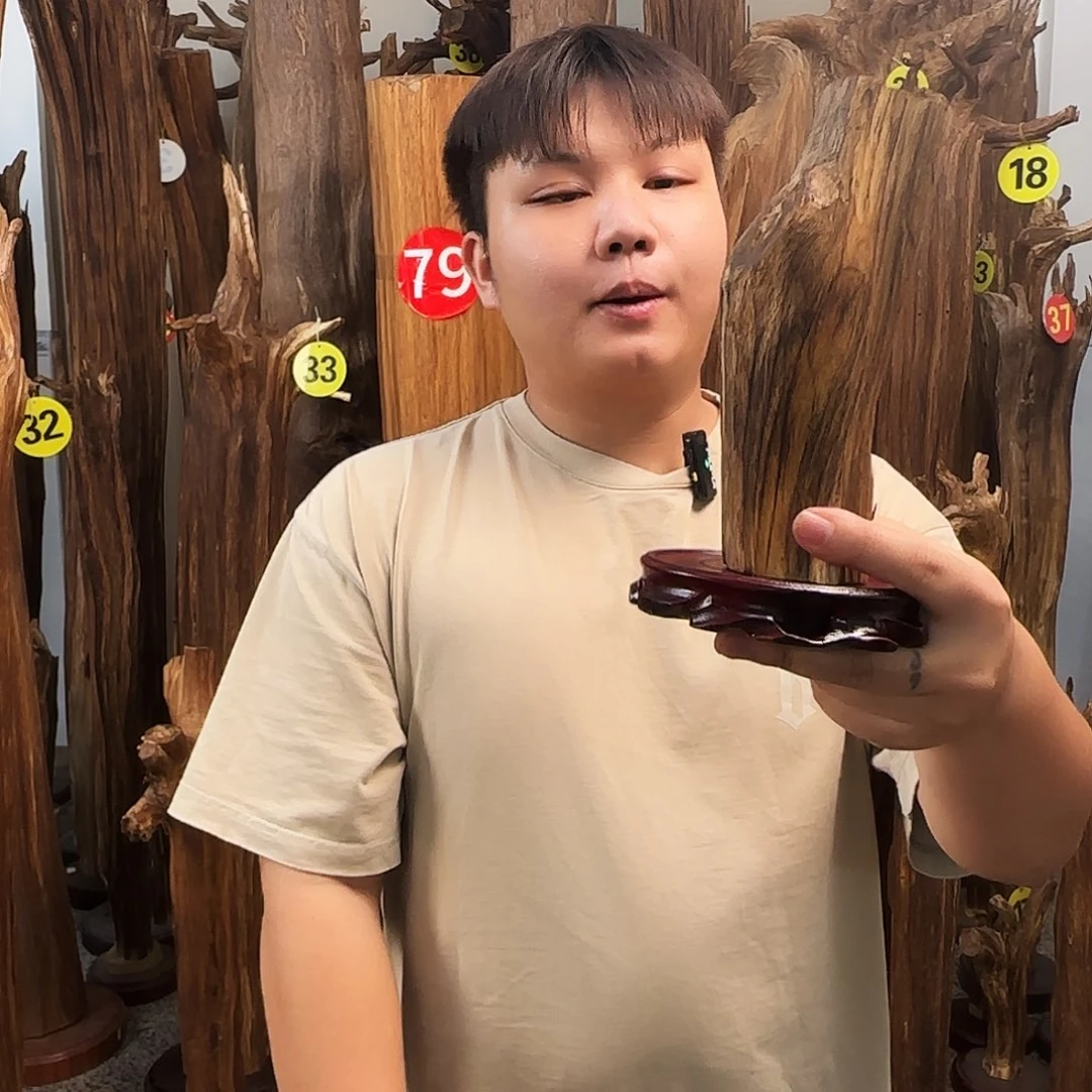 沉香沉香碎屑天然沉香原木原材料