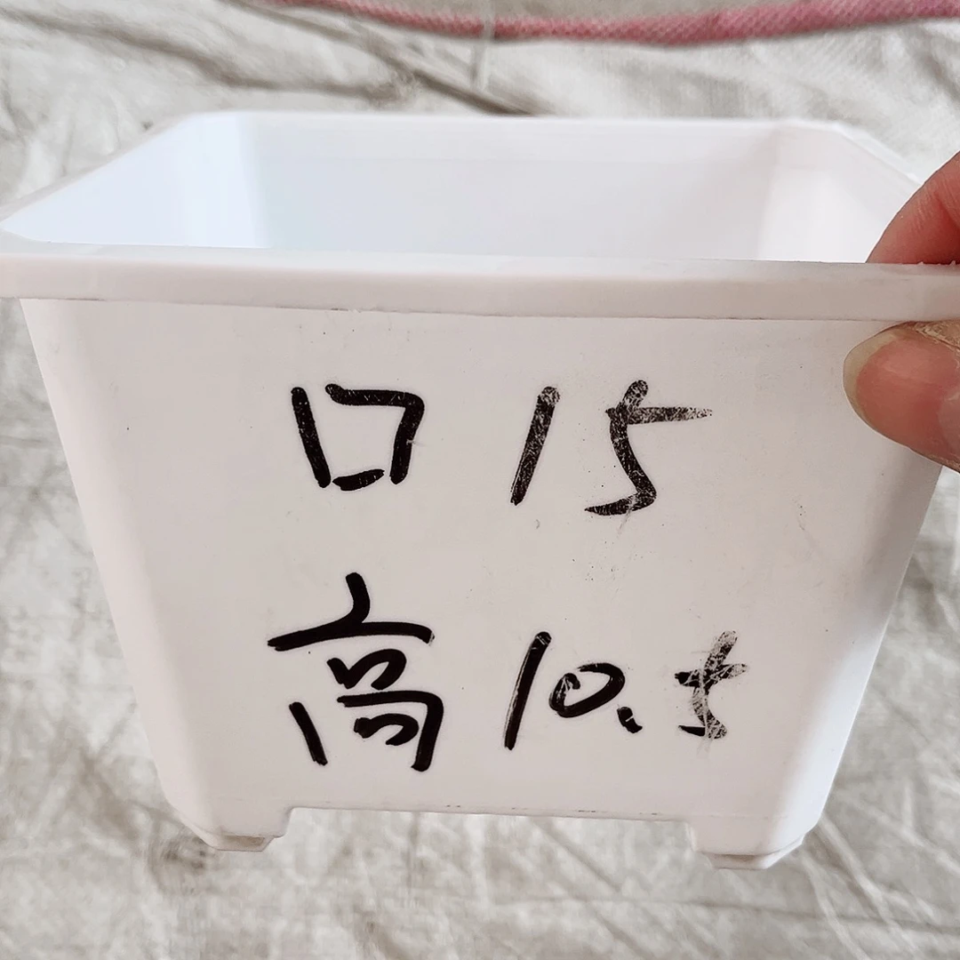 塑料福利款15方白色盆10个无托