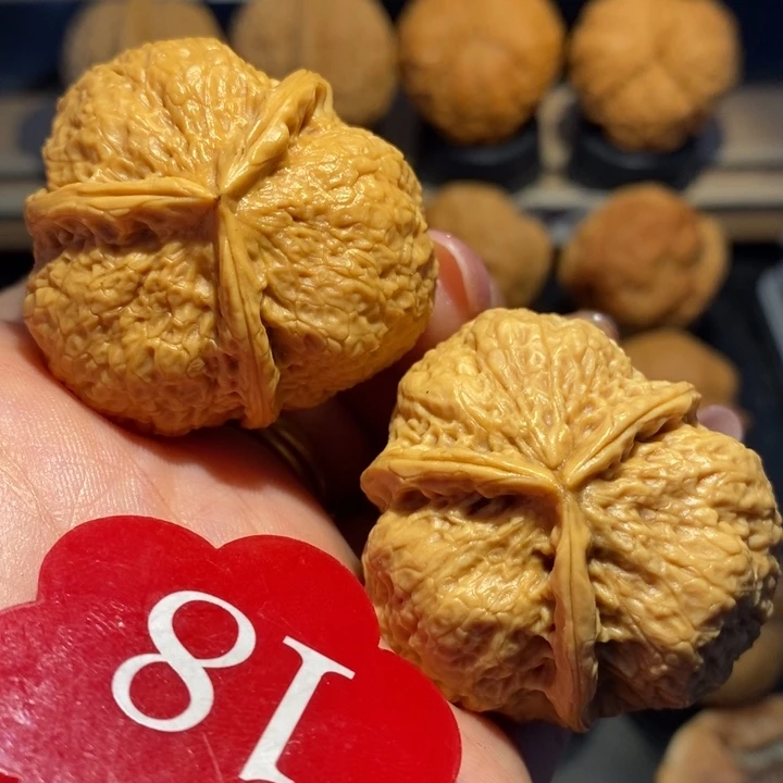 正本三棱核桃尺寸39