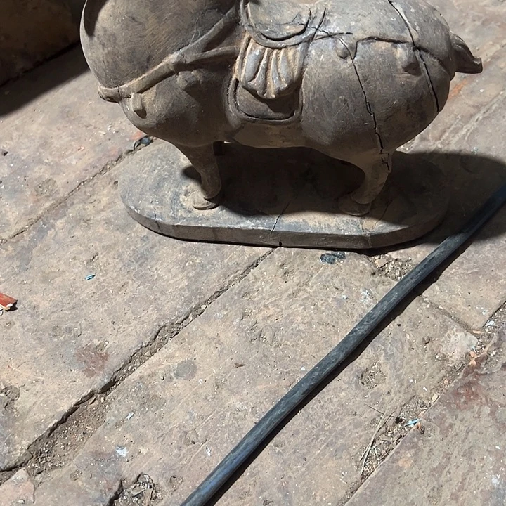 香榧木88888888888888888