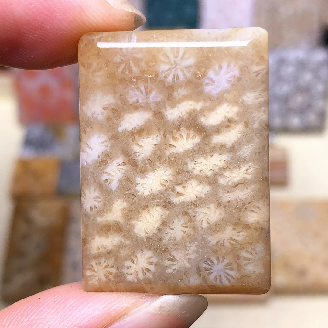 硅化玉珠宝奇石合金千*儿