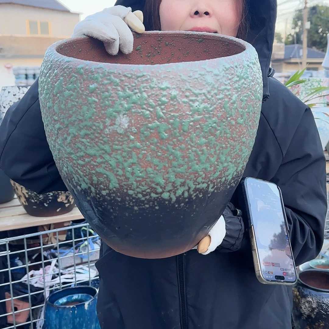 王嫂花盆直播1119-312高27口25