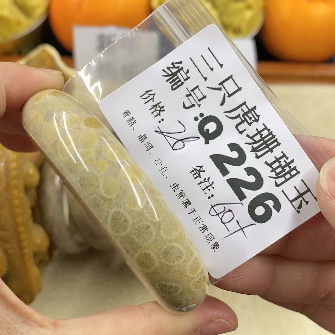 硅化珊瑚（珊瑚玉）1未镶嵌海*